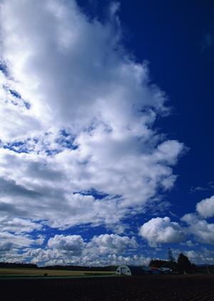 静岡県で室内墓地を利用するなら