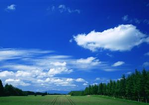 熊谷市で家族葬を行うならこちらへ