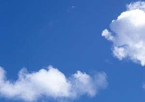 先進の仕組みがある23区永代供養墓