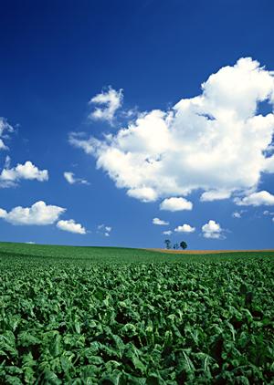 静岡市で安心・低価格な家族葬・火葬なら家族葬のタクセル【全国対応】