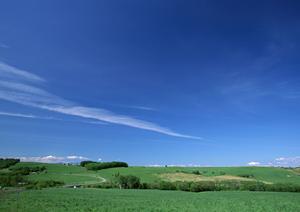 静岡県焼津市の家族葬・家族向け葬儀をサポートする富士葬祭焼津の全貌と特徴
