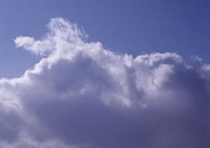 静岡県富士宮市の家族葬に最適な斎場｜家族葬のタクセル光町の特徴と詳細情報