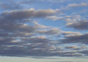 【2025年最新】鹿児島で家族葬を検討している方必見！安心の葬儀プランとポイント